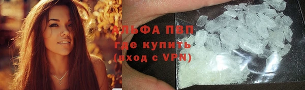 спайс Михайлов