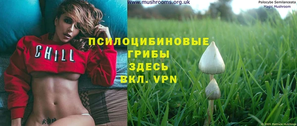 спайс Михайлов
