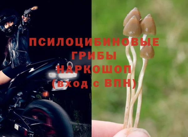 спайс Михайлов