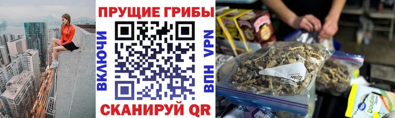 Галлюциногенные грибы Magic Shrooms  Кубинка 