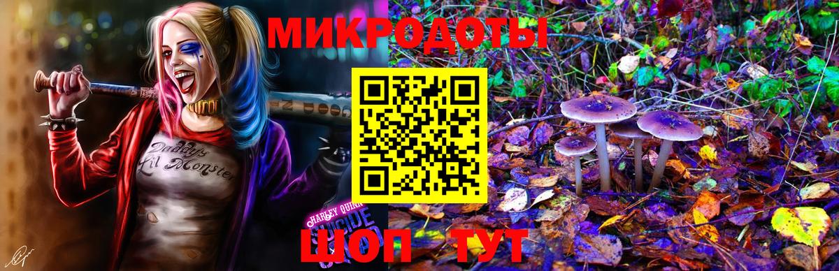 Кубинка  Галлюциногенные грибы Psilocybe  Вход с VPN 